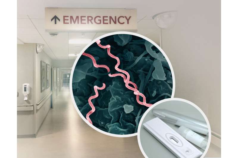 Emergency department screening more than doubles detection of syphilis cases