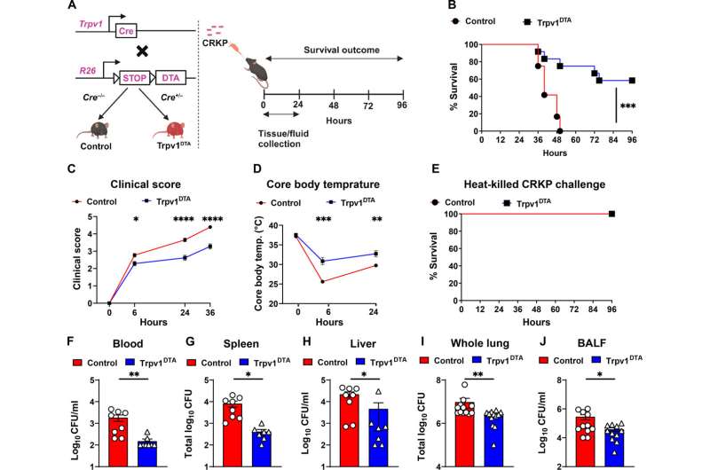 Discovery could help treat fatal, drug-resistant pneumonia and sepsis