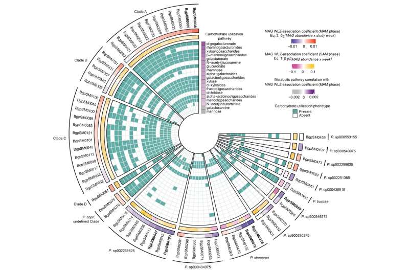 Trial shows children with severe acute malnutrition recover faster when given microbiome-based food instead of RUFs