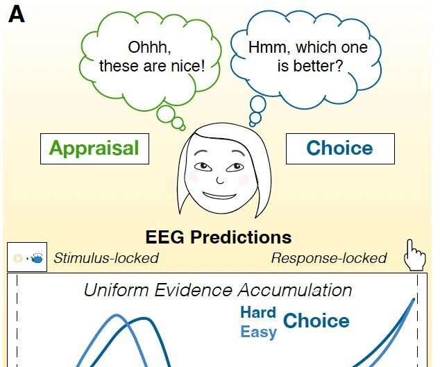 Neural signatures commonly observed when humans make choices can also reflect choice-independent processes