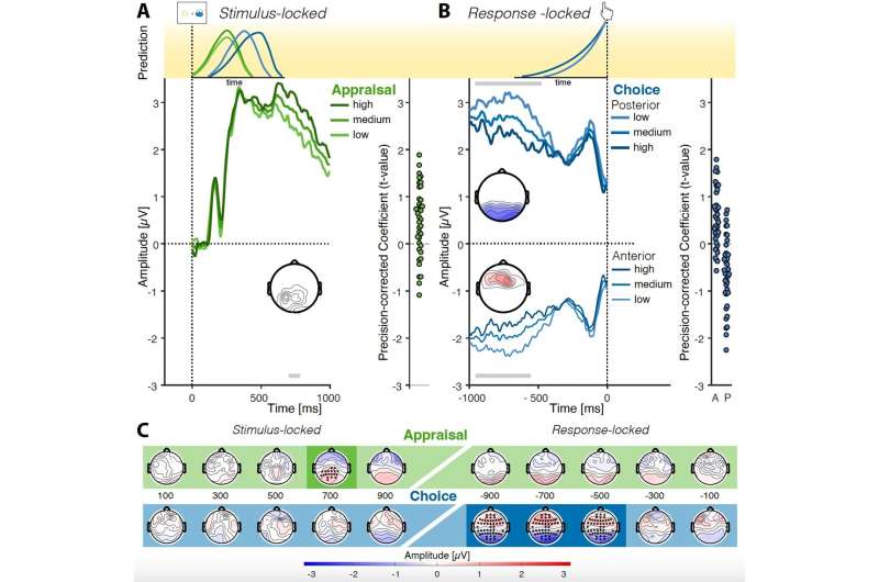 Neural signatures commonly observed when humans make choices can also reflect choice-independent processes