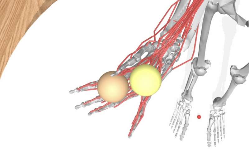 Modeling the minutia of motor manipulation with AI