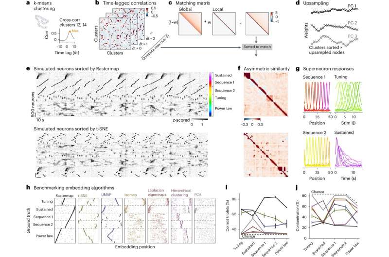 Visualization tool helps scientists spot neuronal activity patterns in mountains of data