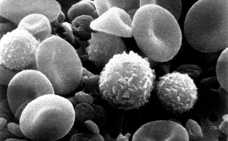 Re-engineered, blue light-activated immune cells penetrate and kill solid tumors