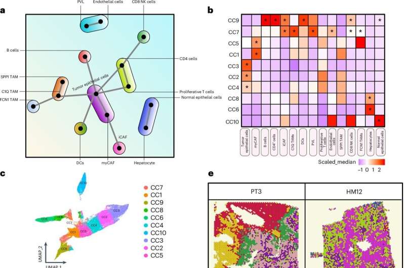 Pancreatic cancer tumor map uncovers notable differences between primary and metastatic disease