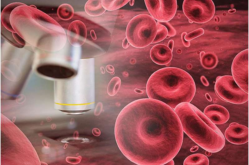 Blood cancers: what you need to know