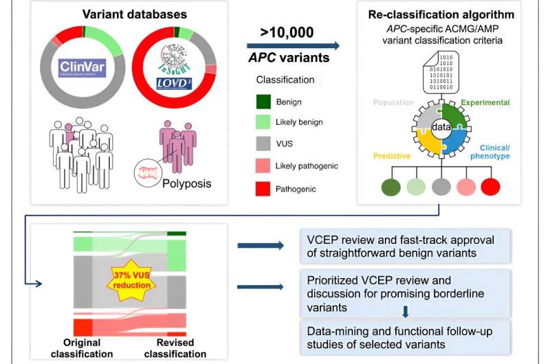 Hereditary colorectal cancer: Researchers reclassify a large proportion of leading gene variants as benign