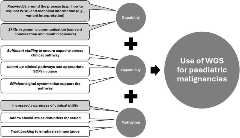 Recommendations to increase access to whole genome sequencing for children with cancer