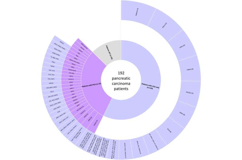 Researchers map genetic variants associated with pancreatic cancer in Brazilian patients