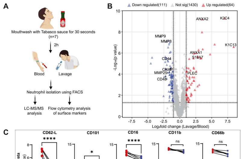 Tabasco sauce helps validate simpler method for immune cell analysis in inflamed tissue