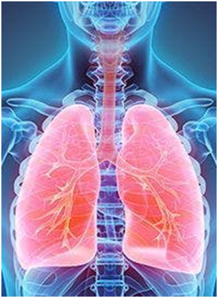 European Approval Sought for Amivantamab Plus Chemo in EGFR Exon 20 Insertion+ NSCLC 