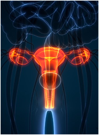 Atezolizumab Plus Bevacizumab and Chemotherapy Fails to Provide PFS Benefit in Platinum-Sensitive 