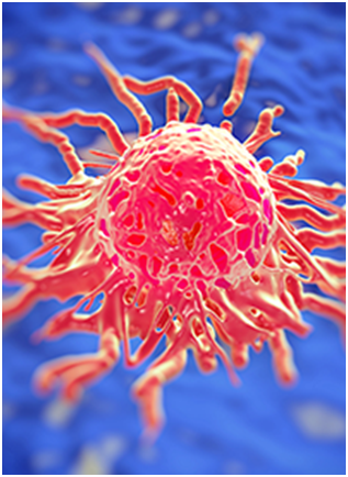 Tumor Profiling Studies Illuminate Nuances Across Malignancies 