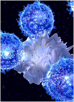 Maveropepimut-S Plus Pembrolizumab and Cyclophosphamide Shows Early Promise in R/R DLBCL 