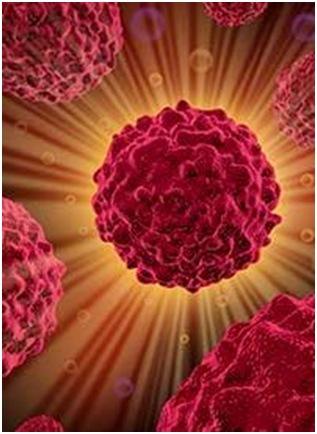 Sunitinib Elicits Improved Efficacy Vs Placebo in Malignant Pheochromocytoma/Paragangliomas 