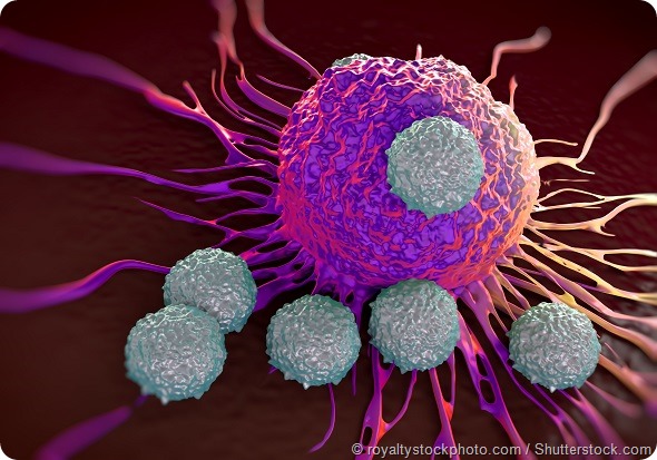 T-cells attacking cancer cell illustration of microscopic photos