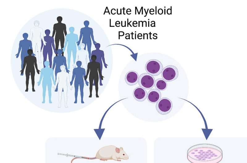 New fast, effective way to detect cancer stem cells 