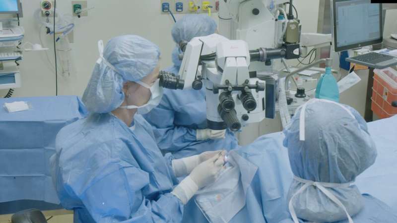 Cell therapy that repairs cornea damage with patient's own stem cells achieves positive phase I 