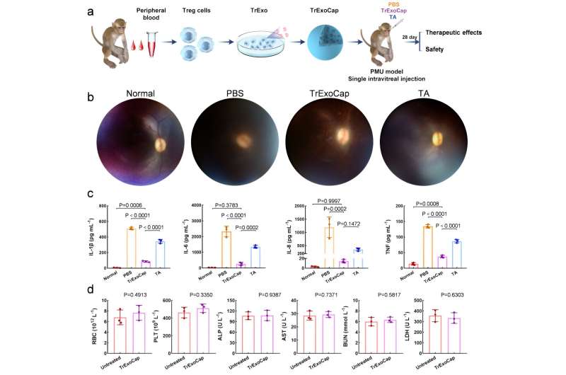 Scientists develop 'pseudo cell' formulation for vitreoretinal disease therapy