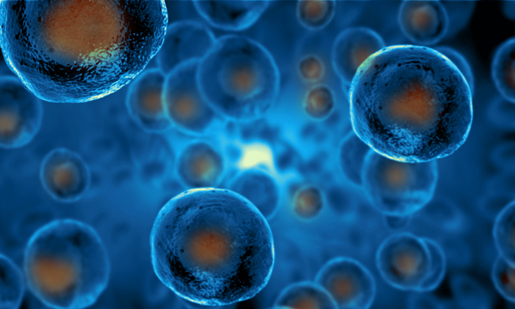 New embryonic stem cell type could advance regenerative medicine