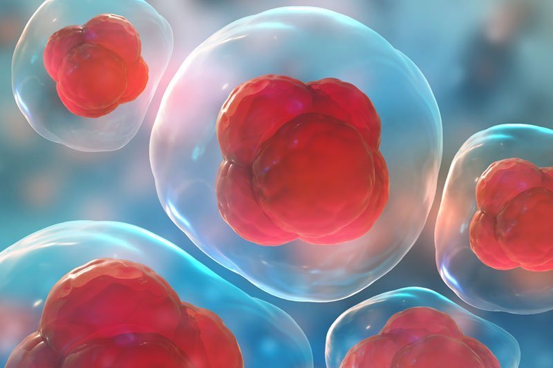 https://heimlichinstitute.com/wp-content/uploads/2021/08/benefits-of-stem-cell-therapy.jpg