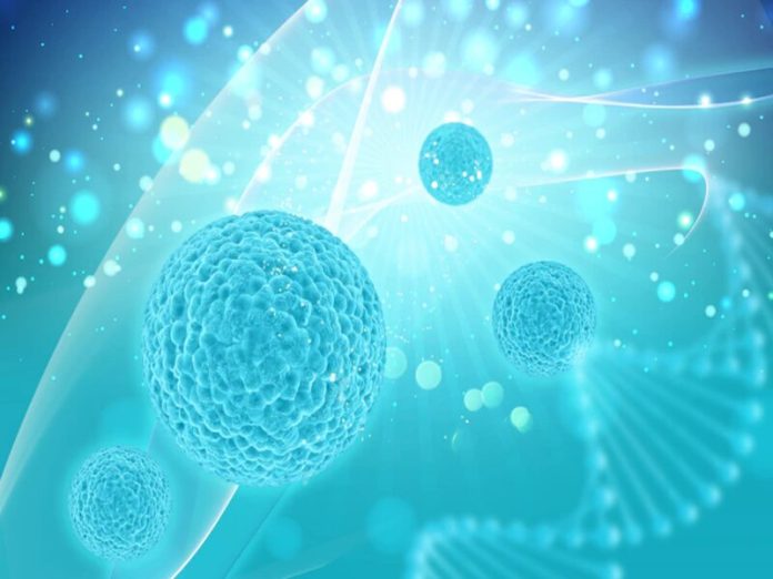 Les cellules souches sont-elles le traitement du futur de l’alopécie ?