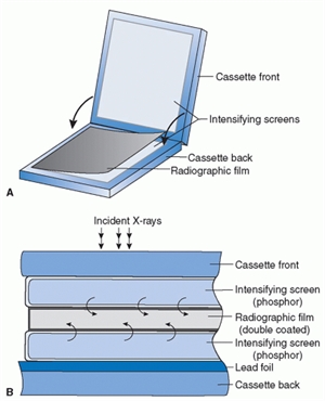 What does the X-ray cassette contain inside? This is how a medical or dental x-ray cassette is constructed within