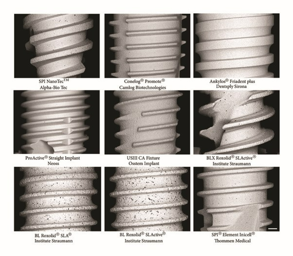 [1] Backscatter-SEM micrographs of the analysed implant systems. Note the various numbers and sizes of the Al2O3 particles (black dots) remaining on the surface following etching. Scale bar: 200 μm.