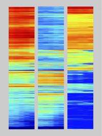 Determining a stem cell's fate: Biologists scour mouse genome for genes and markers that lead to T cells