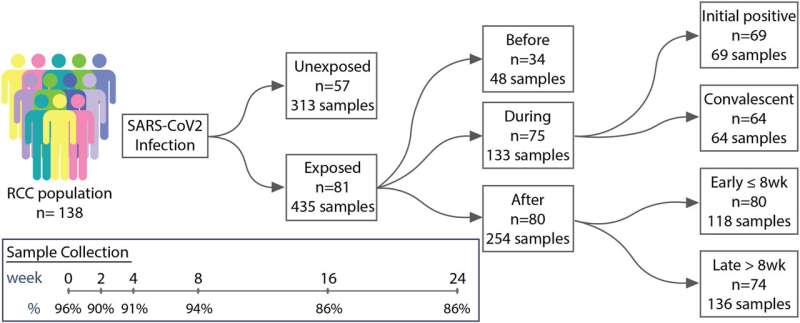 Q&A: Only severe COVID cases found to have disrupted oral microbiomes 