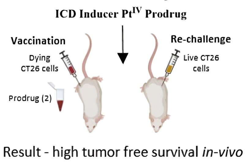 Combining potent cancer drugs in a single multitargeting molecule