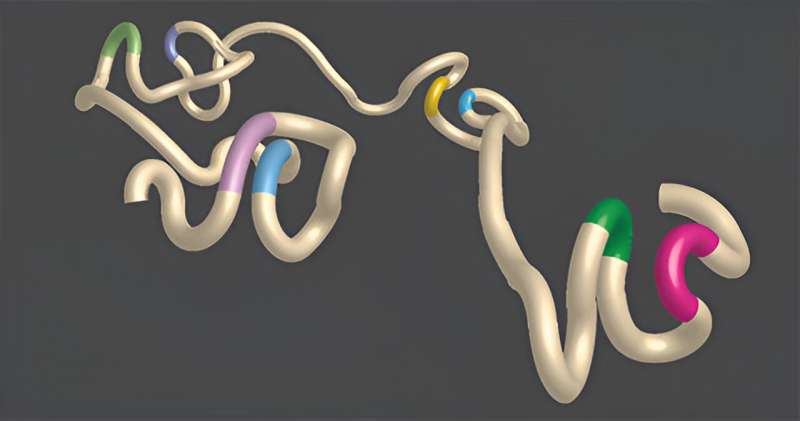 A rendering of chromatin architecture that demonstrates DNA loops. The stretch of DNA (tan) is accented with colored portions of genetic code (green and pink, blue and yellow, light green and purple, and light purple and light blue) that are brought closer together by the formation of loops. Credit: Salk Institute