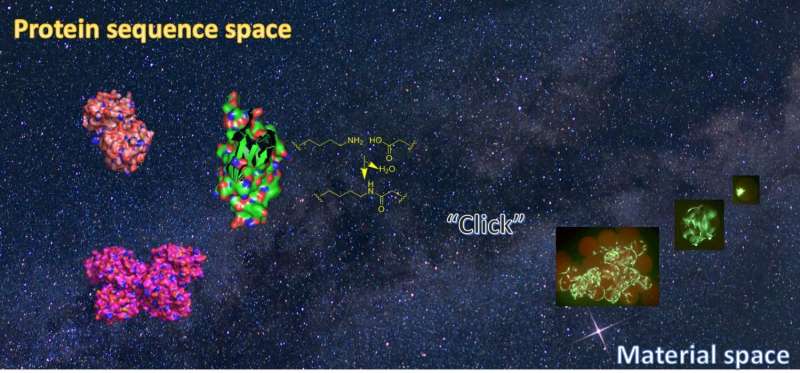 Photo-responsive protein hydrogels as agent for controlled stem cell/protein release