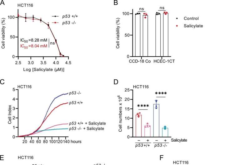 Salicylate suppresses viability and proliferation of CRC cells independent of p53. A Cell viability of HCT116 cells was determined by MTT assay after treatment with indicated concentrations of salicylate for 48 h. IC50 was determined using GraphPad Prism based on changes in viability. B Cell viability of non-transformed CCD-18-Co and HCEC-1CT cells was determined by MTT assay after treatment with 5 mM salicylate for 48 h. C Impedance of HCT116 cells treated with salicylate. D Determination of cell numbers at the final time point of the experiment indicated in C. E Cell cycle analysis using propidium iodide (PI) staining. F Analysis of apoptosis in salicylate-treated HCT116 cells by Annexin V FITC and propidium iodide staining. G Levels of cleaved PARP and PARP were determined by Western blot analysis in HCT116 cells after treatment with 5 mM salicylate for the indicated times. α-Tubulin served as a loading control. In panels A, B, and F (n = 3), and D (n = 4) mean values ± SD are shown. *p &lt; 0.05, ****p &lt; 0.0001, n.s not significant. Credit: Cell Death & Disease (2023). DOI: 10.1038/s41419-023-06226-9