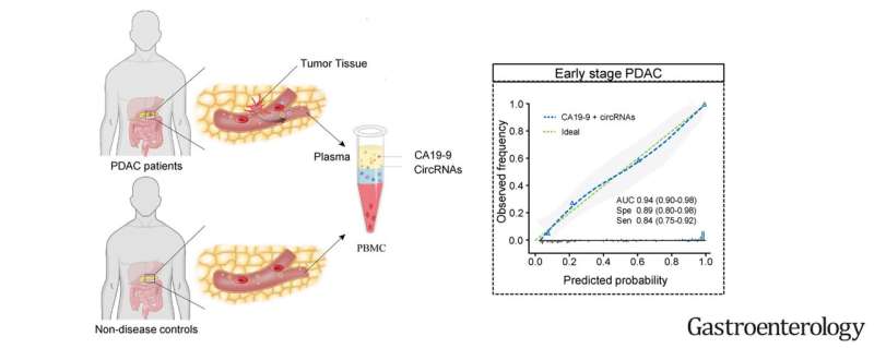 Graphical abstract. Credit: Gastroenterology (2023). DOI: 10.1053/j.gastro.2023.09.050