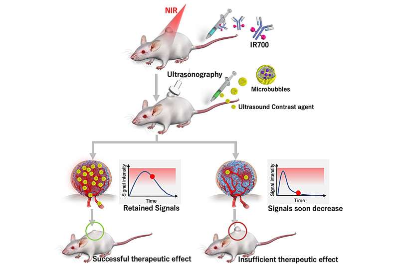 A new near-infrared photoimmunotherapy biomarker paves the way for targeted cancer treatments. Credit: Kazuhide Sato