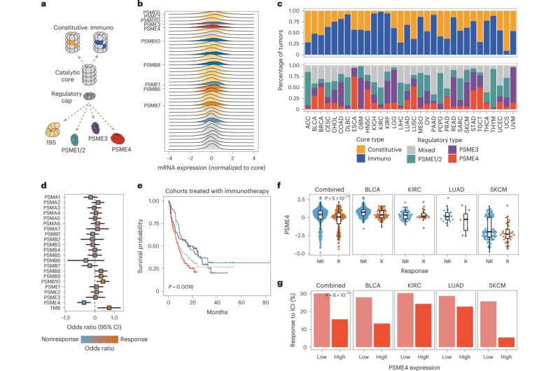 Dumpster diving in cancer tissue uncovers an immune evasion mechanism