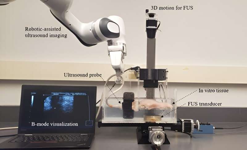 Harnessing AI to help pinpoint cancerous tumours