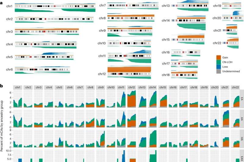 Genomic distribution of autosomal mCAs. a, mCA calls across autosomal chromosomes. b, Histogram of mCA calls across the genome for each genetic ancestry group. The X axis is shown in 1 Mb windows for each chromosome and the Y axis is the percent of mCA calls for a given genetic ancestry group that span the genomic window. Credit: Nature Genetics (2023). DOI: 10.1038/s41588-023-01553-1