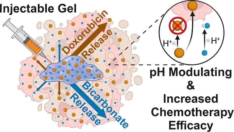 New drug delivery system developed by Brown engineers has potential to improve cancer treatments