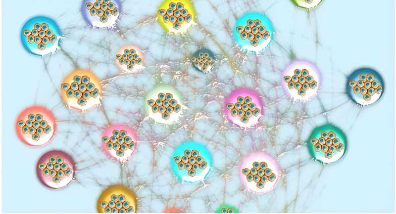 Mount Sinai researchers find more than 4,700 gene clusters crucial for prognosis in 32 cancer types