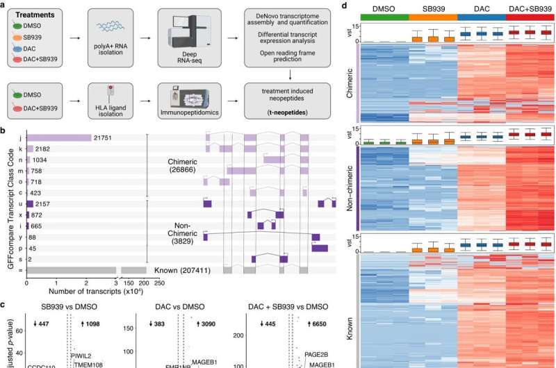 De novo transcriptome assembly identifies treatment-induced novel poly-adenylated transcripts (TINPATs). Credit: Nature Communications (2023). DOI: 10.1038/s41467-023-42417-w