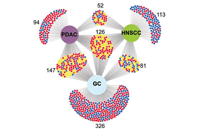 Researchers take steps towards stopping the 'conversation' between cancerous tumors and nerves