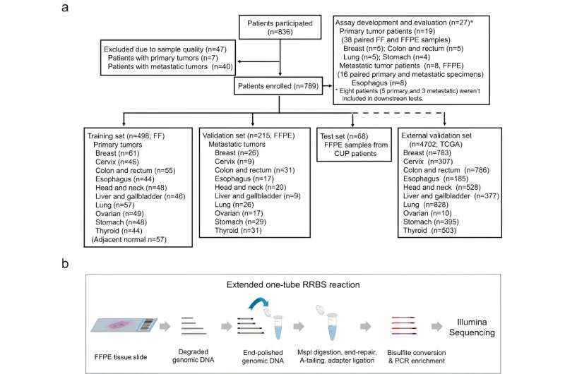 A. Flow chart of participants. B. Schematic diagram of the FFPE-RRBS protocol. Credit: Liu Fang