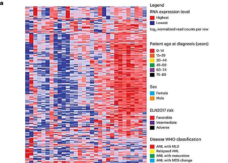 Integrative analysis of samples from patients with AML. a, Unsupervised hierarchical clustering analysis on the expression of 300 transcripts with the greatest variance-to-mean ratios among 30 individual AMLs from our repository that can successfully generate AML PDX. MLD, multi-lineage dysplasia; MDS, myelodysplastic syndromes; MLL, mixed-lineage leukemia; NOS, not otherwise specified. b, Key clinical characteristics of patients from whom AML samples were derived including age at diagnosis, sex, ELN2017 prognostic risk group and WHO class of disease. c, OncoPrint of the most frequently detected mutations in AMLs by targeted next-generation sequencing of 585 genes associated with hematological malignancies (the MSKCC HemePACT assay. Credit: Nature Cancer (2023). DOI: 10.1038/s43018-023-00653-5