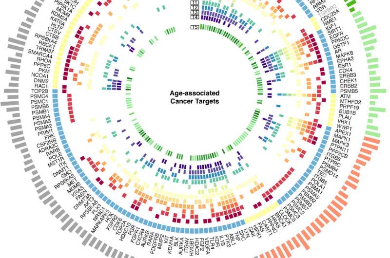 International team uses Insilico Medicine's AI platform to find dual targets for aging and cancer