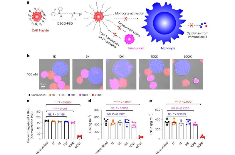 Technology helps CAR T therapies fight cancer cells while minimizing severe side effects