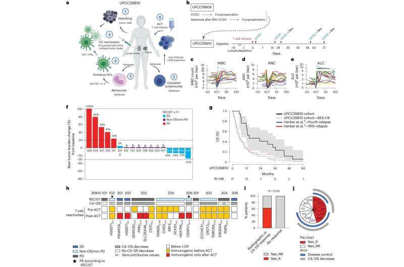 Personalized cancer vaccine and adoptive T cell therapy benefits patients with advanced ovarian cancer