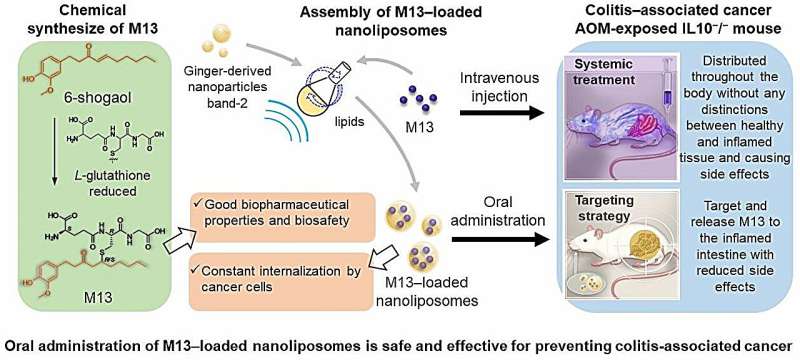 Oral lipid nanoparticle drug can prevent development of colitis-associated cancer, researchers find