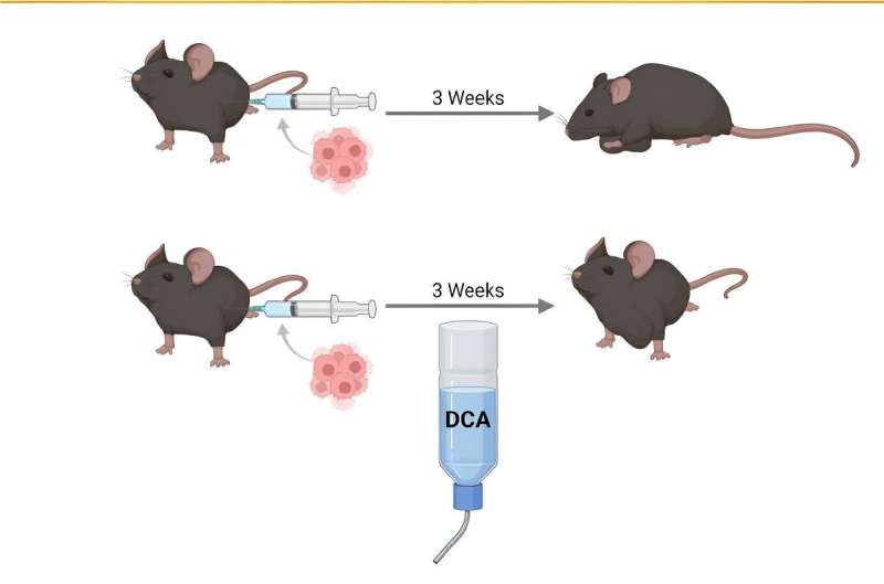 Team reports on promising treatment for cancer-related fatigue